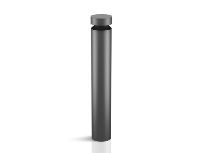 CORVUS L